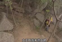 【57款】大王叫我来巡山等沙雕鬼畜搞笑视频素材
