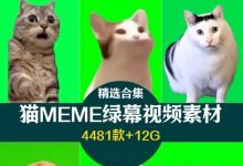 【4481款】猫狗meme喵么猫咪跳舞搞笑场景剪辑绿幕视频素材