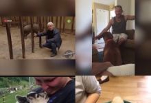 【20款】国外搞笑街头恶搞失误视频素材