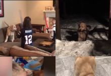 【20款】国外搞笑街头恶搞失误视频素材