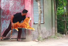 【20款】国外搞笑街头恶搞失误视频素材