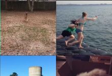 【20款】国外搞笑街头恶搞失误视频素材