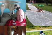 【20款】国外搞笑街头恶搞失误视频素材