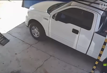 【20款】国外搞笑街头恶搞失误视频素材