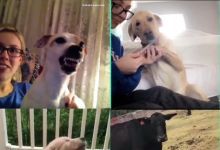 【20款】国外搞笑街头恶搞失误视频素材