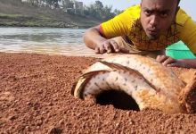 【353款】国外男子夸张抓捕鱼田间河边捉鱼娱乐搞笑视频素材