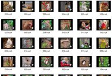 【592款】兔子吃水果蔬菜啃胡萝卜咀嚼趣味搞笑视频素材